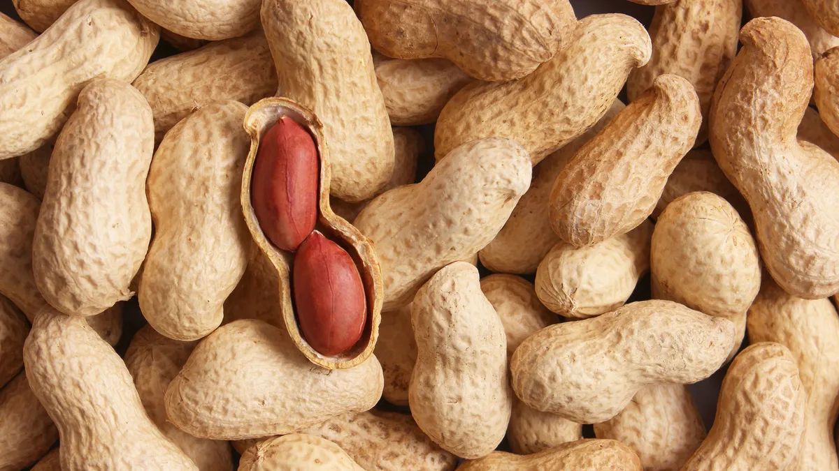 An open peanut shell sits on top a pile of other peanut shells.