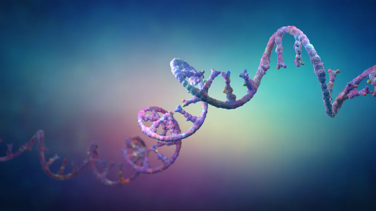 A  3D illustration of ribonucleic acid, or RNA, strands