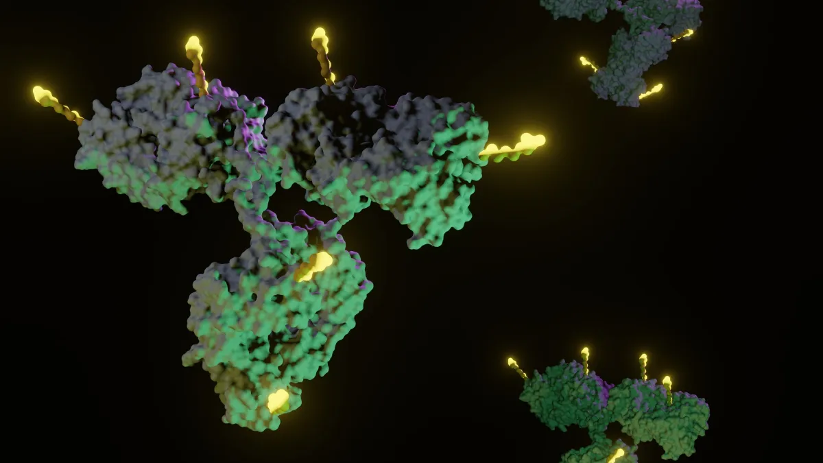 Antibody-drug conjugate