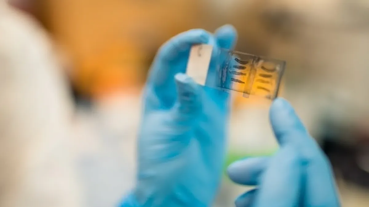 A gloved hand holds a DNA microscope slide.